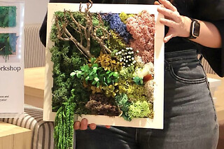 Atelier Cadre floral et mousse à Paris 2ème