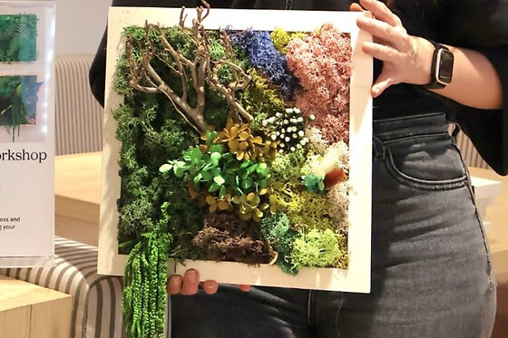 Atelier Cadre floral et mousse à Paris 2ème