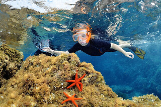 Snorkeling à Calvi (20)