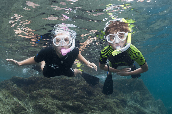 Snorkeling à Cerbère (66)