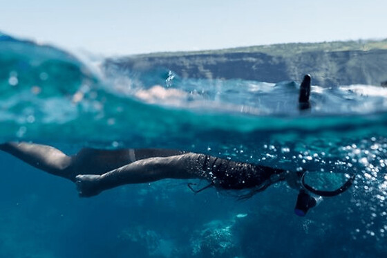 Snorkeling sur la Côte Bleue près de Marseille