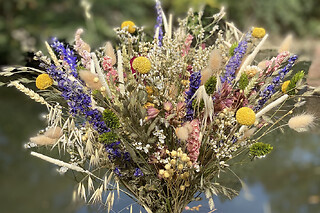 Atelier fleurs séchées à Toulouse (31)
