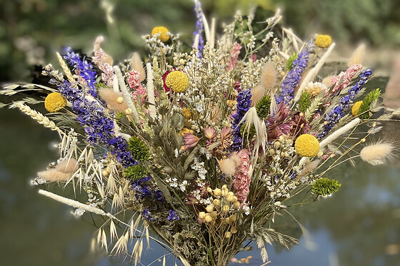 Atelier fleurs séchées à Toulouse (31)