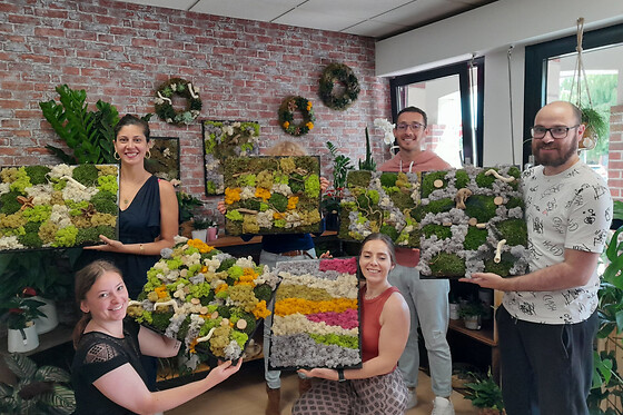 Atelier cadre végétal à Wasquehal (59)