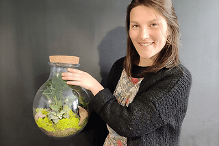Atelier terrarium à Wasquehal (59)
