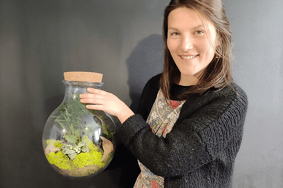 Atelier terrarium à Wasquehal (59)