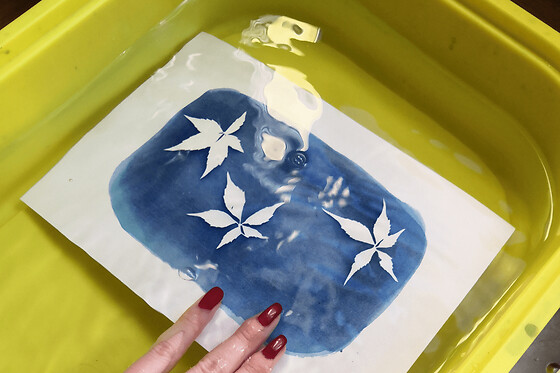 Atelier cyanotype à Paris 19ème