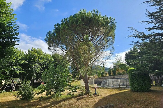 Aux-tilleuls-de-renaison - photo 6