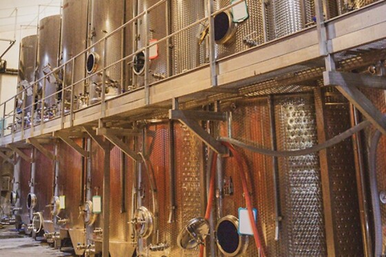 Domaine Château Mouresse - photo 16