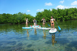 Excursion de l'Anse Babin en Stand Up Paddle en Guadeloupe (971)