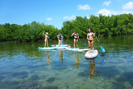Excursion de l'Anse Babin en Stand Up Paddle en Guadeloupe (971)