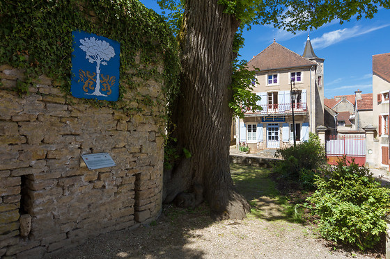 Le Puits Fortifié - photo 16