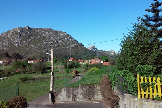 HOTEL FORONDA - photo 3