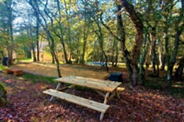 Gîte Spa & Nature