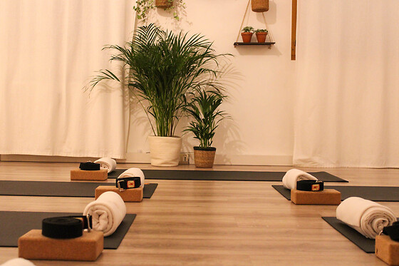 Sanae Yoga - photo 0