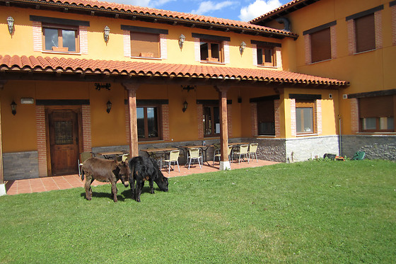 HOSPEDERIA LOS REALES - photo 3
