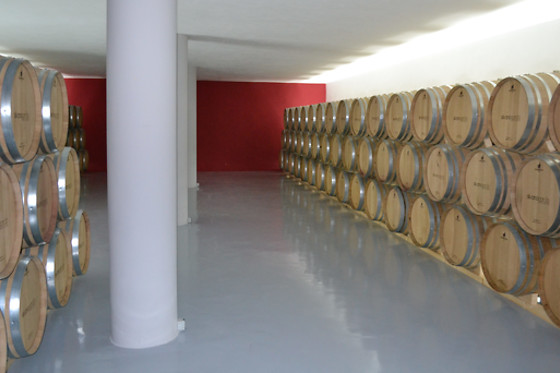 BODEGA SILVANO GARCIA - photo 0
