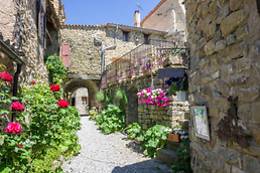 Les Roses Tremières