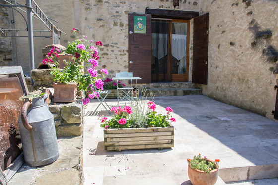 Les Roses Tremières - photo 19