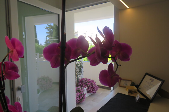B&B Adenzia - photo 2