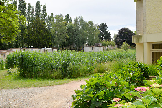 Les Jardins de l'Anjou - photo 34