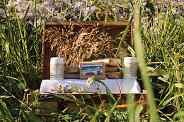 Lait de Jument de Camargue