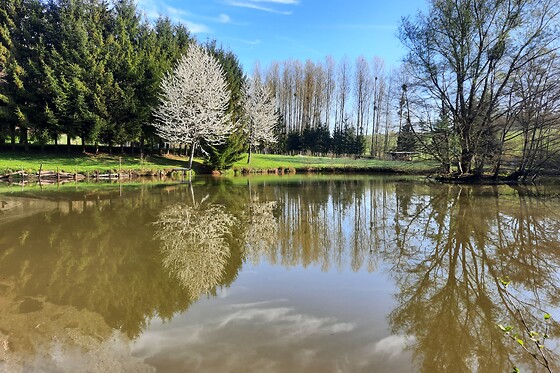 Les étangs du moulin d'Harcy - photo 1