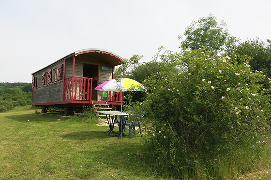 La Grande Savane - photo 8