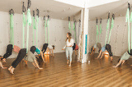 Studio du Nid