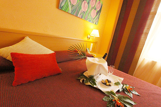 HOTEL EL ÁGUILA - photo 4