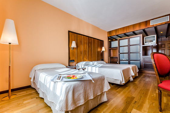 HOTEL DOÑA BRIGIDA - SALAMANCA FORUM - photo 21