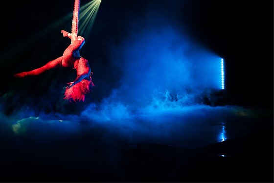 Cabaret La Vénus - photo 5