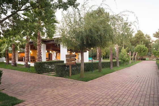 Quinta da Mimosa - photo 7