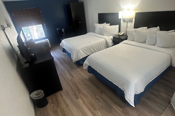Online Booking EPS - photo 1