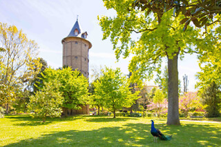 Jardin D'Acclimatation - Journée en duo