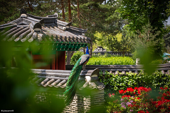 Jardin D'Acclimatation - Journée en duo