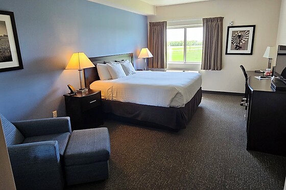 Online Booking EPS - photo 6
