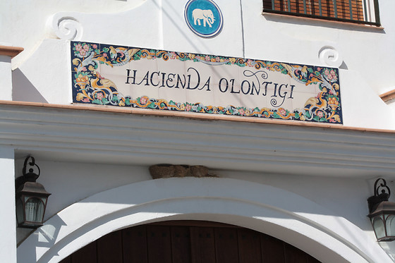HACIENDA OLONTIGI - photo 3