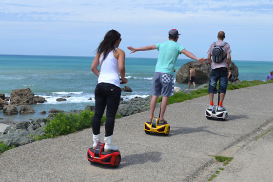Gyrozone - photo 4
