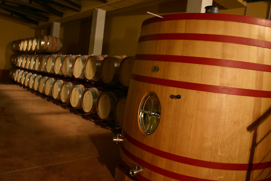 BODEGAS MONT REAGA - photo 4