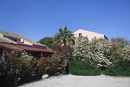 Mickey's House B&B