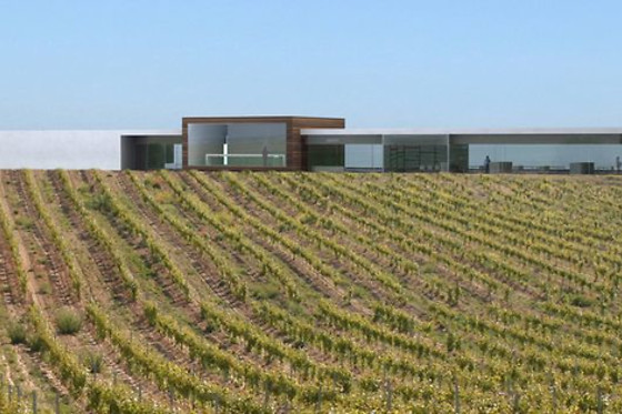 BODEGAS FINCA MONTEPEDROSO - photo 6