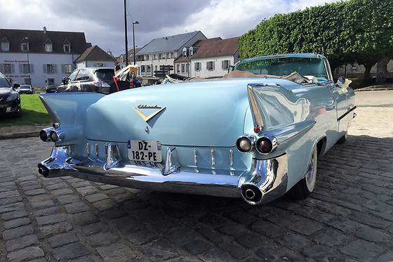 Cady Cruise - photo 24