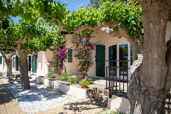 Domaine de La Navicelle - photo 3
