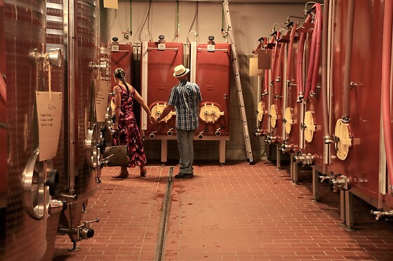 Domaine de La Navicelle - photo 10