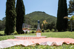 Domaine de La Navicelle