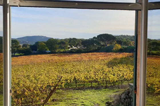 Domaine de La Navicelle - photo 14
