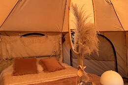 De Witte Merel & Hotel at home