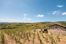 Domaine Steeve Charvet