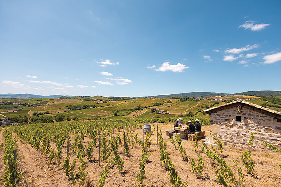 Domaine Steeve Charvet - photo 0